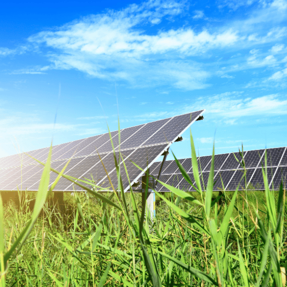 Paneles solares